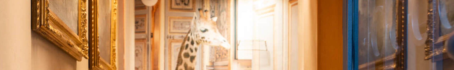 Gardi Luxury Apartments in Bologna