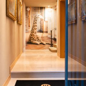 Holiday apartments in Bologna historic centre